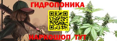 наркотики Берёзовский