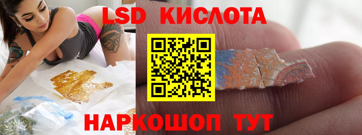 Бердск  Лсд 25 экстази  Вход с VPN  Лсд 25 экстази кислота 