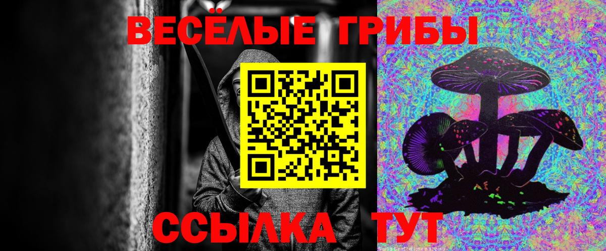 цена   Вход с VPN  Бердск  Галлюциногенные грибы мицелий 