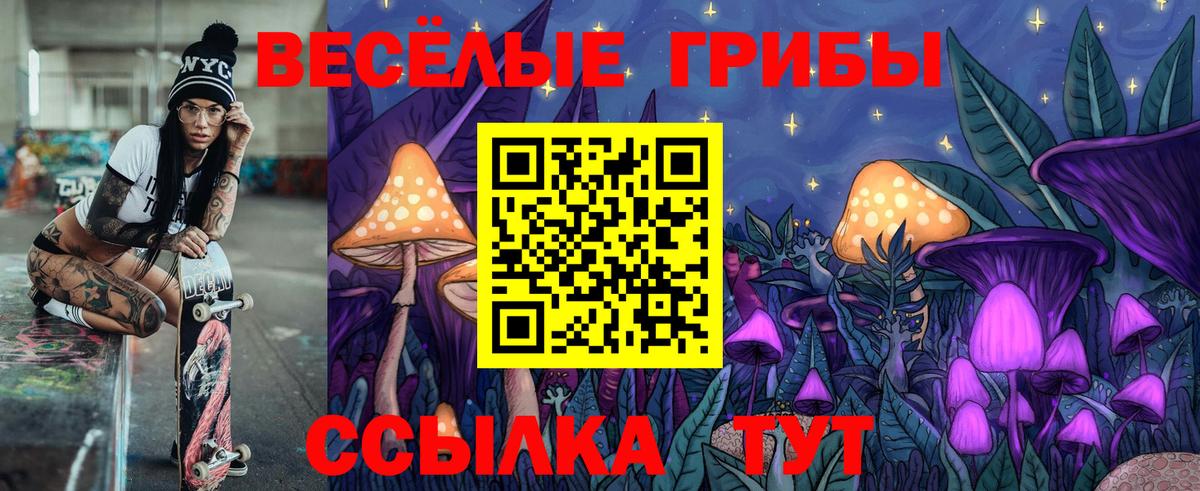 Псилоцибиновые грибы MAGIC MUSHROOMS Бердск