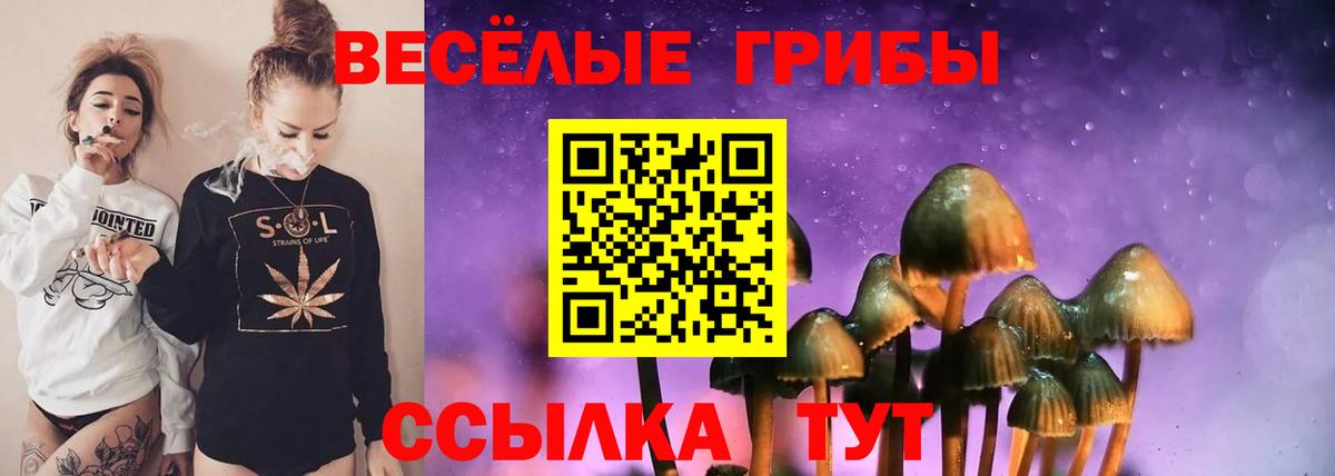 КОКАИН Бердск